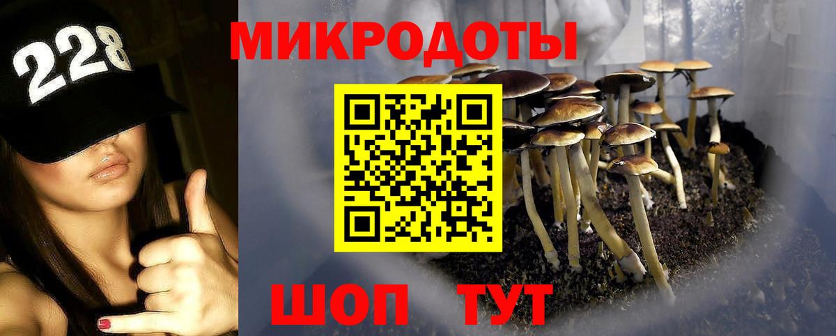 дарнет шоп  Вход с VPN  Орёл  Галлюциногенные грибы GOLDEN TEACHER 